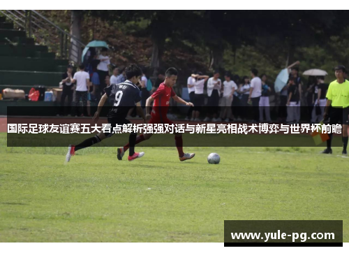 国际足球友谊赛五大看点解析强强对话与新星亮相战术博弈与世界杯前瞻