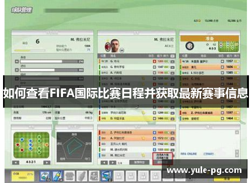 如何查看FIFA国际比赛日程并获取最新赛事信息