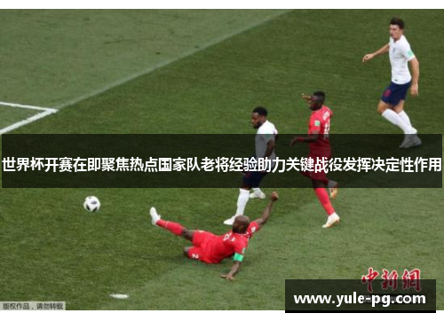 世界杯开赛在即聚焦热点国家队老将经验助力关键战役发挥决定性作用