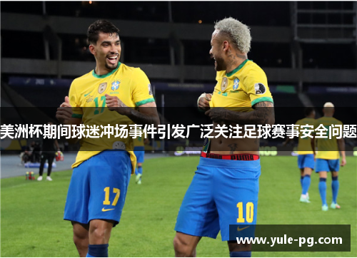 美洲杯期间球迷冲场事件引发广泛关注足球赛事安全问题 美洲杯期间球迷冲场事件引发广泛关注足球赛事安全问题
