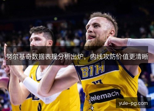 努尔基奇数据表现分析出炉，内线攻防价值更清晰